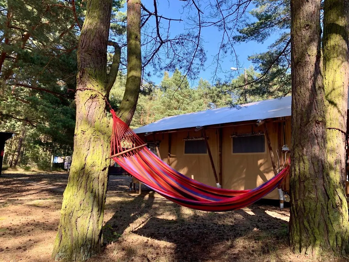 Camp Bursztynowy Las Gdansk
