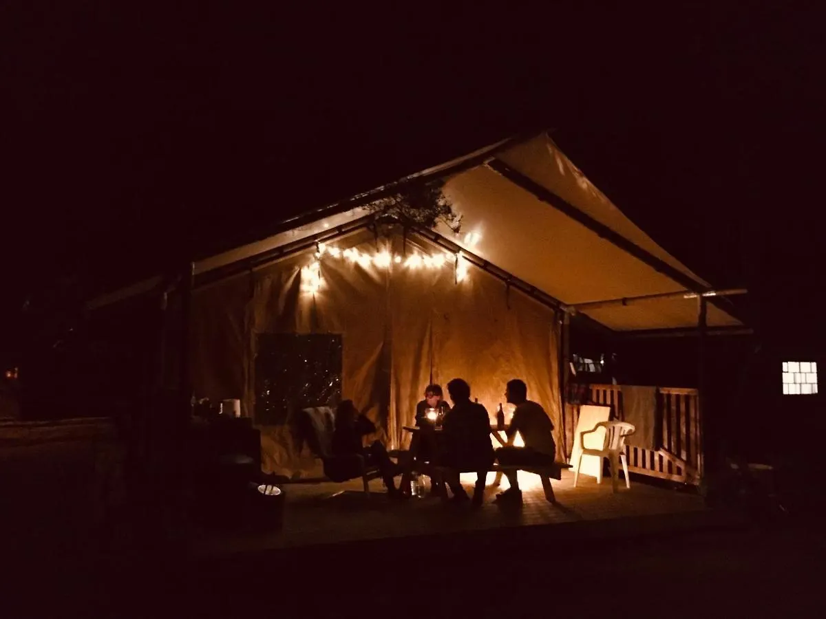 Campsite Camp Bursztynowy Las Gdansk