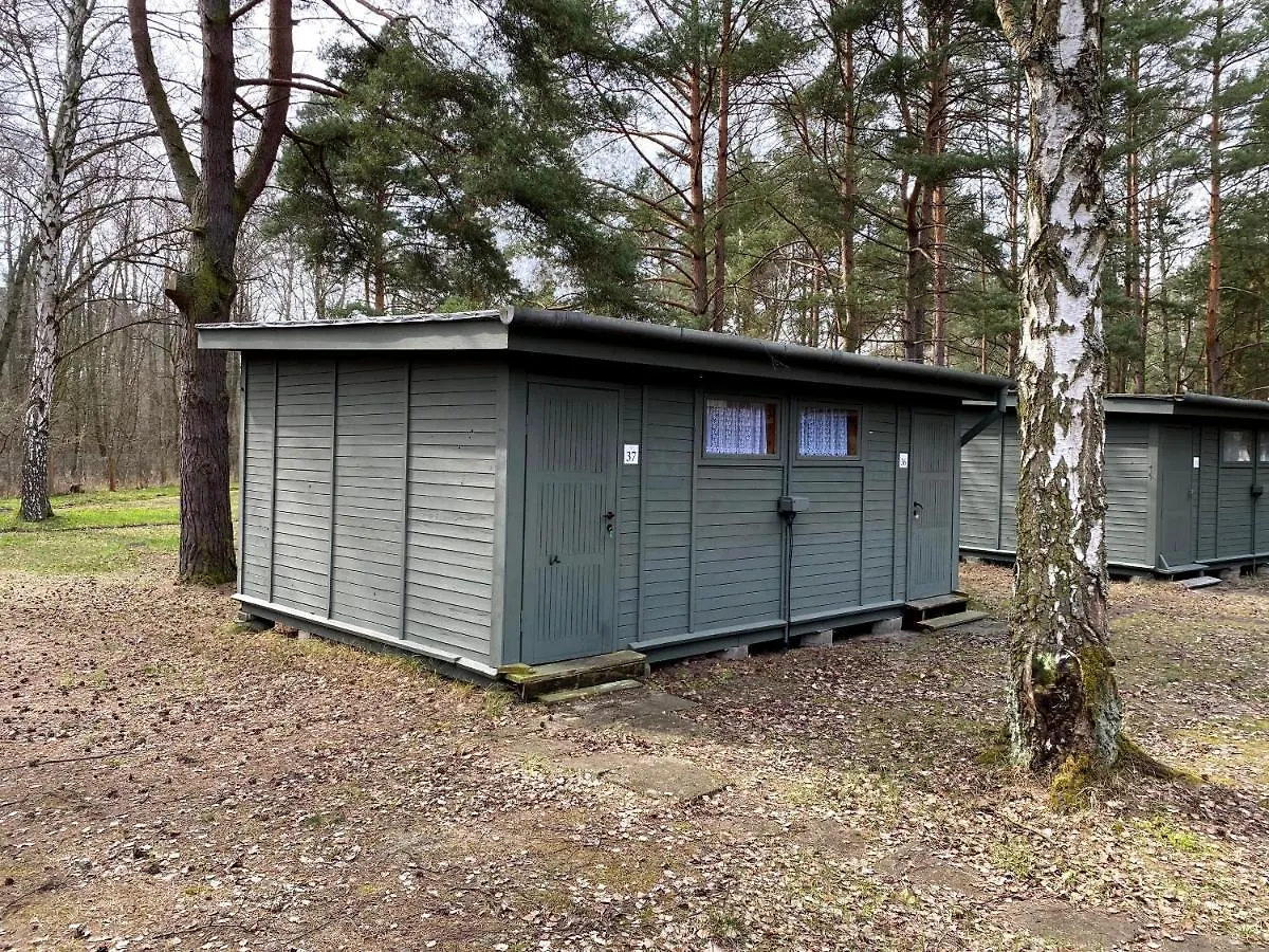 Camp Bursztynowy Las Gdansk
